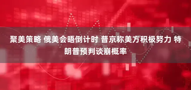 聚美策略 俄美会晤倒计时 普京称美方积极努力 特朗普预判谈崩概率