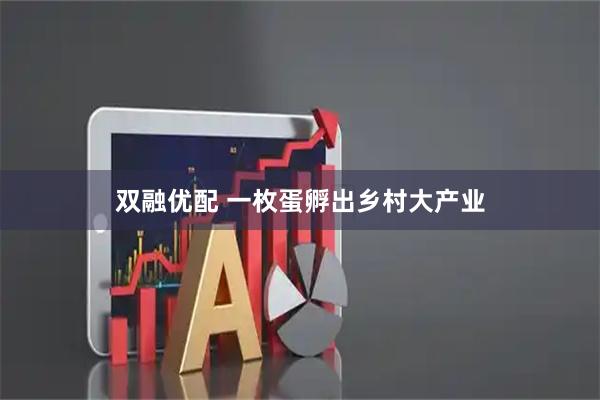 双融优配 一枚蛋孵出乡村大产业