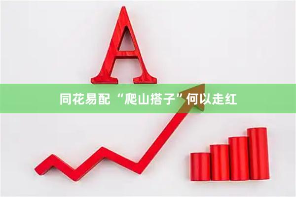 同花易配 “爬山搭子”何以走红