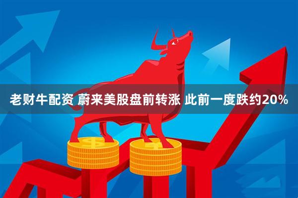 老财牛配资 蔚来美股盘前转涨 此前一度跌约20%