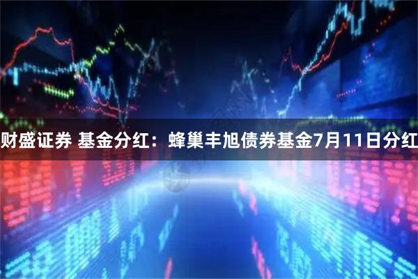 财盛证券 基金分红:蜂巢丰旭债券基金7月11日分红